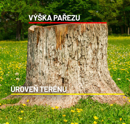 Ceník frézování pařezů
